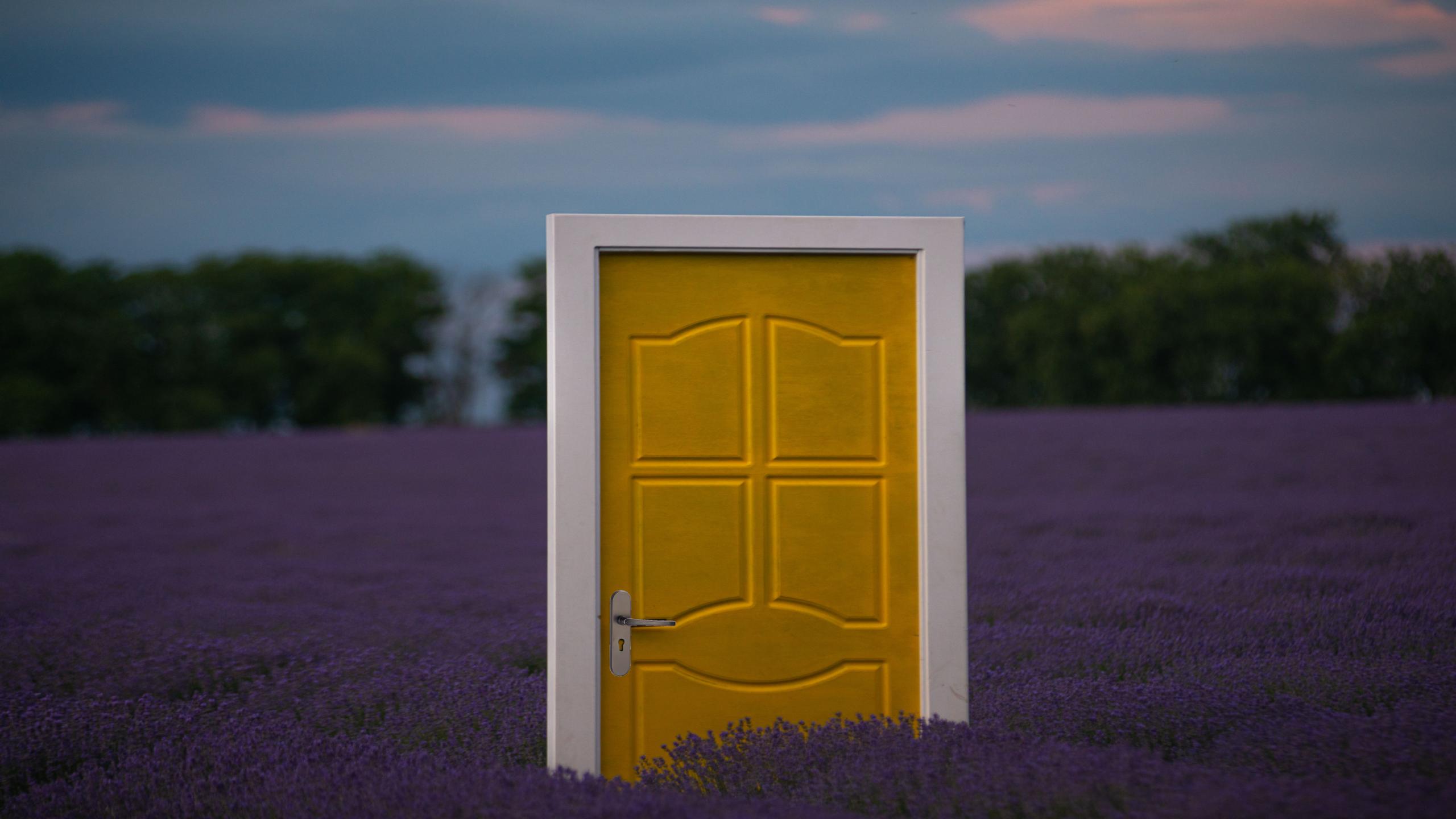 door lock