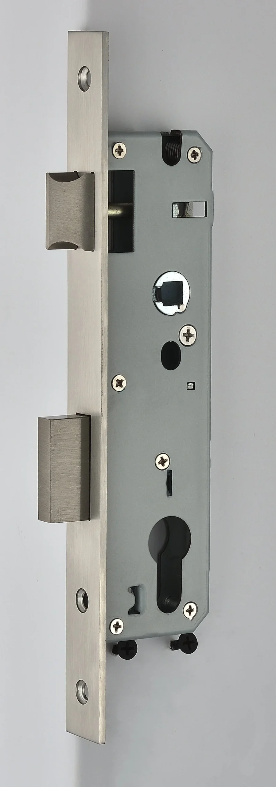 door lock body