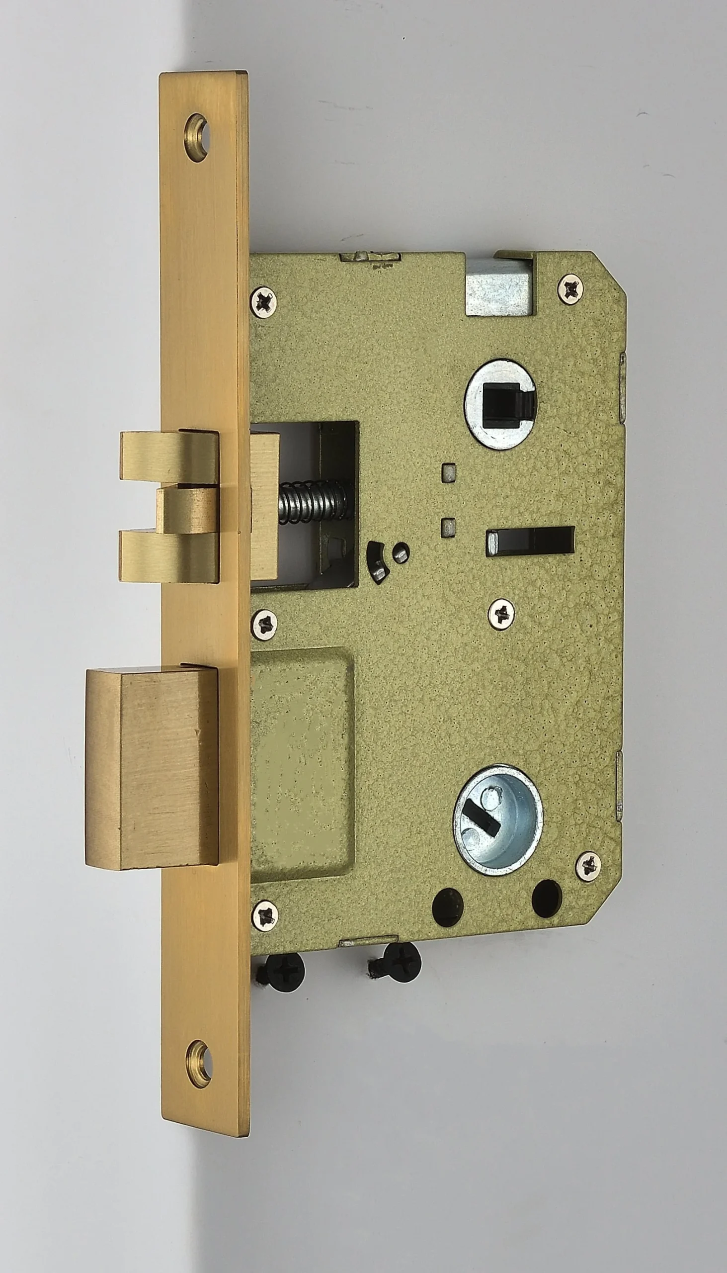 golden door lock body