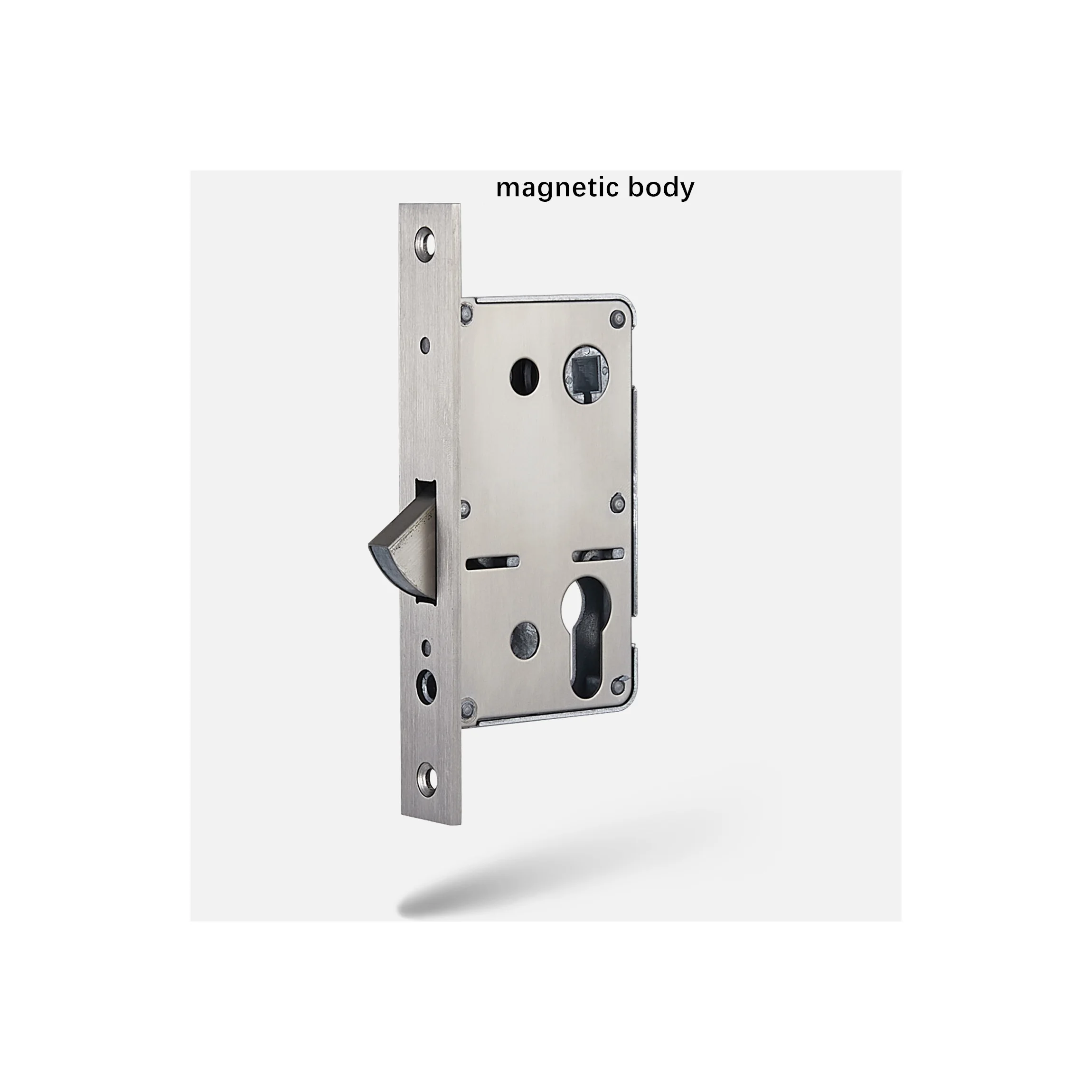 magnetic lock body