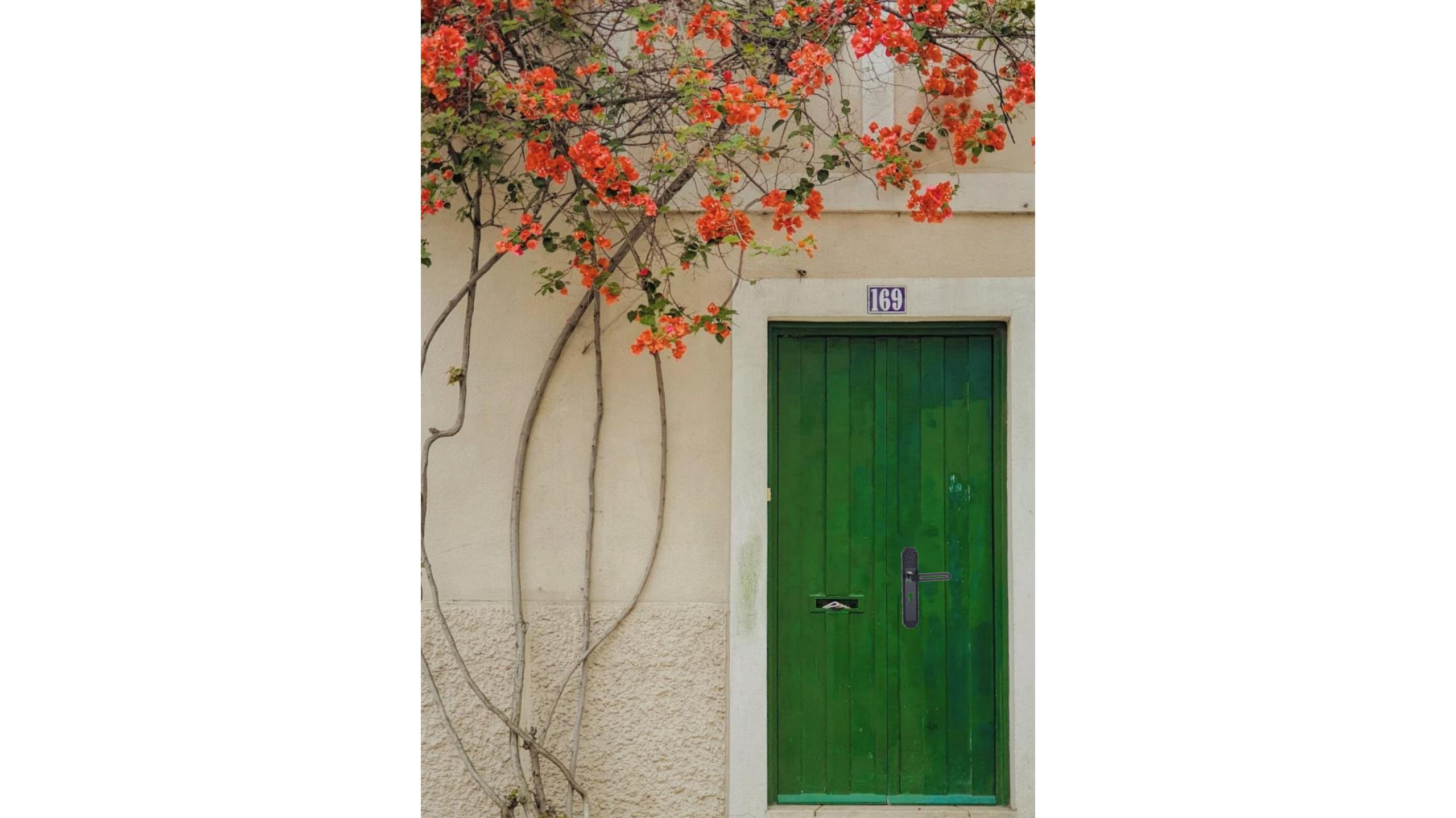 exterior door lock